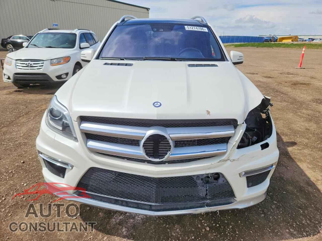 MERCEDES-BENZ GL-CLASS 2014 - 4JGDF2EE2EA433946