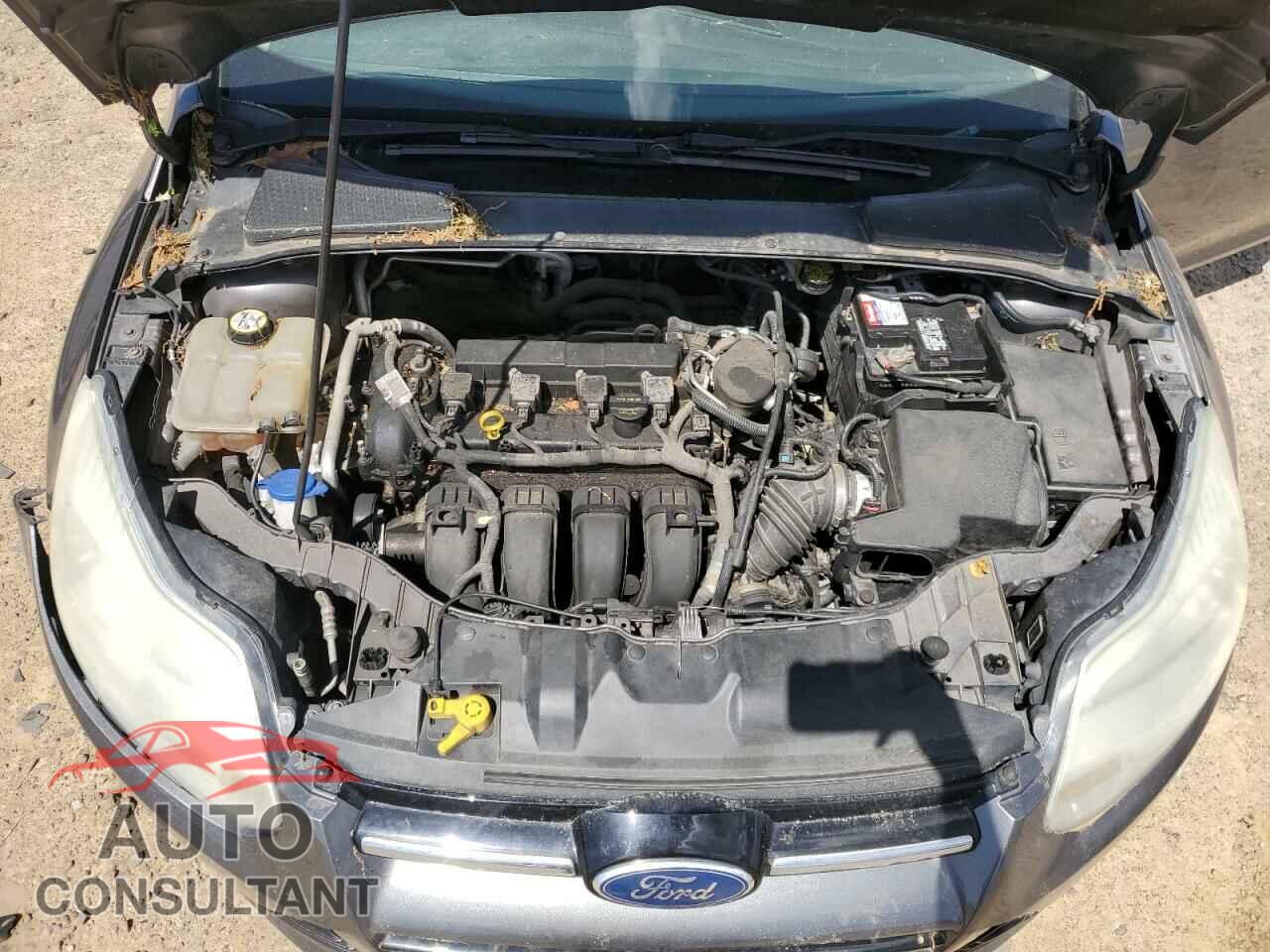 FORD FOCUS 2012 - 1FAHP3F20CL138316