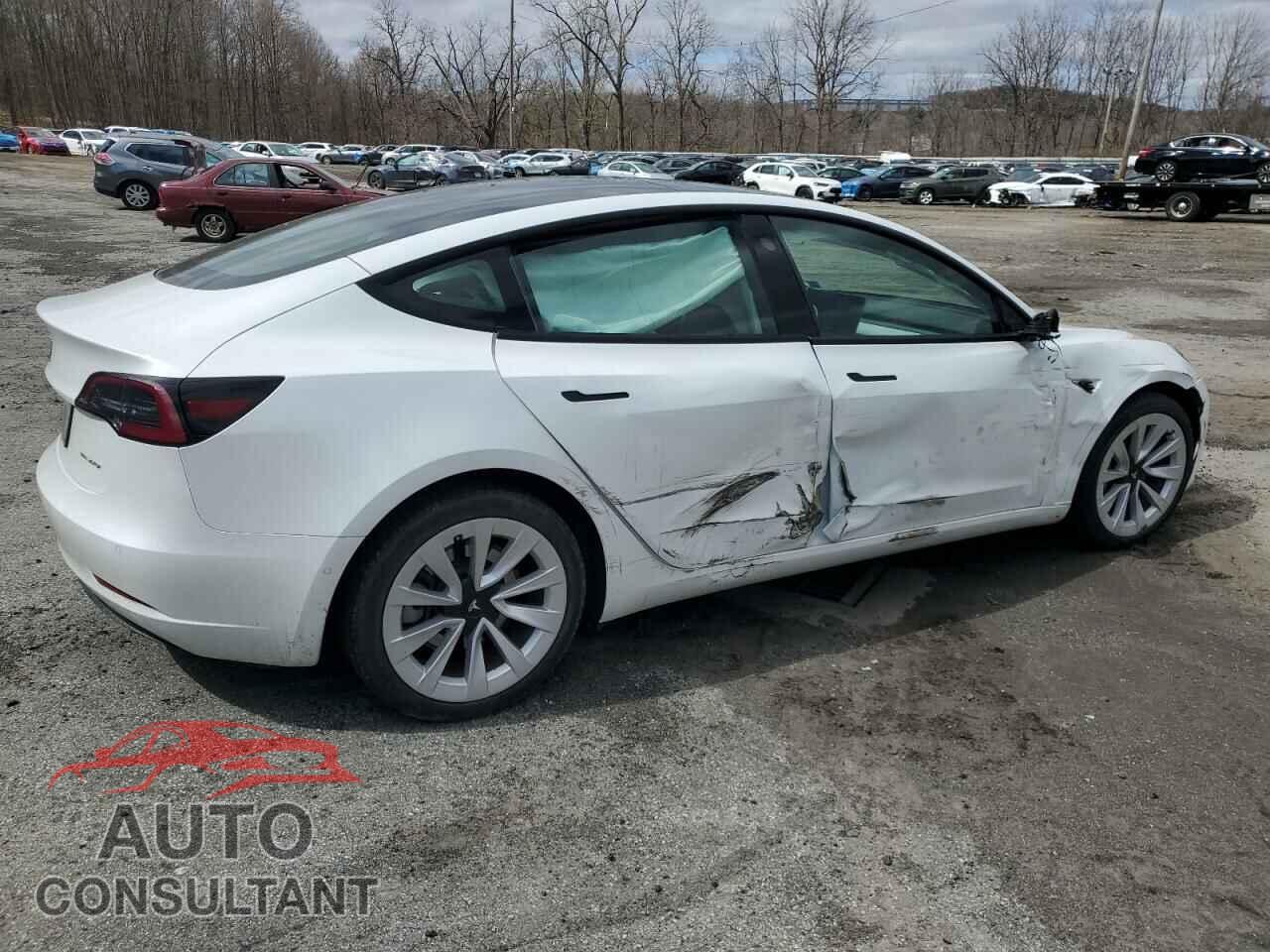 TESLA MODEL 3 2021 - 5YJ3E1EB2MF032695