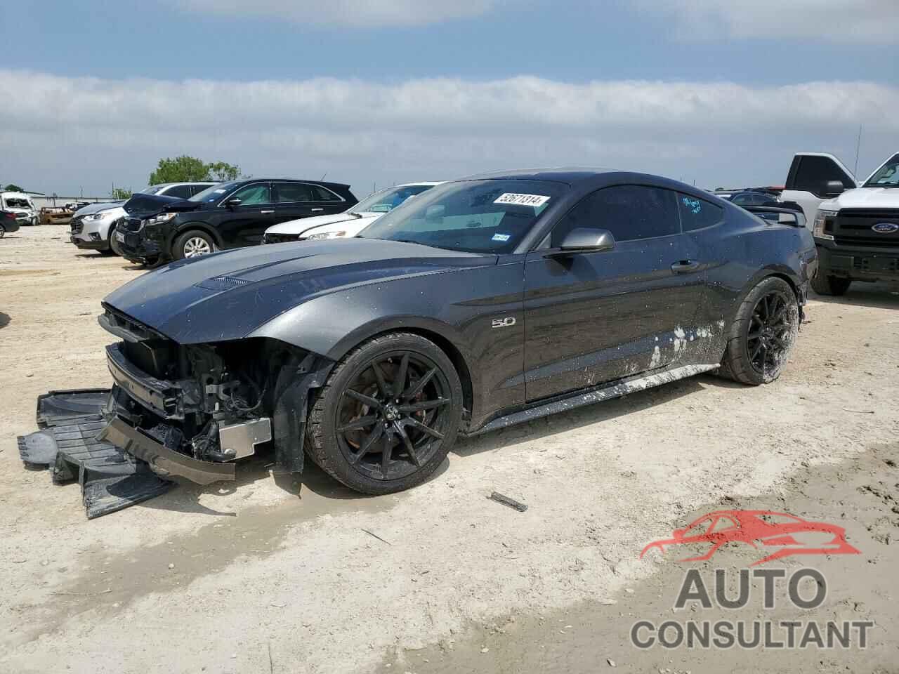 FORD MUSTANG 2019 - 1FA6P8CF1K5114766