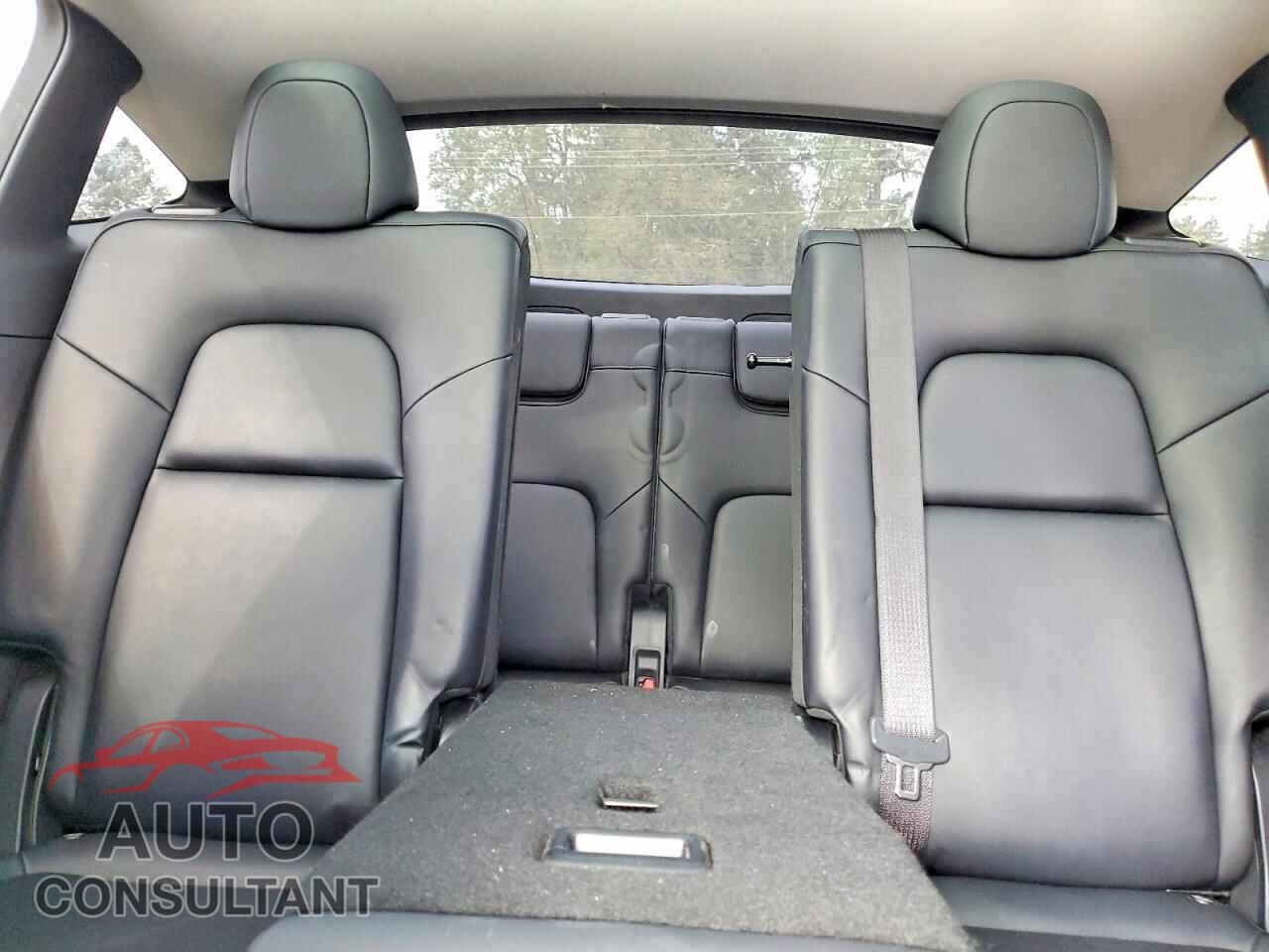 TESLA MODEL Y 2024 - 7SAYGAEE3RF084941