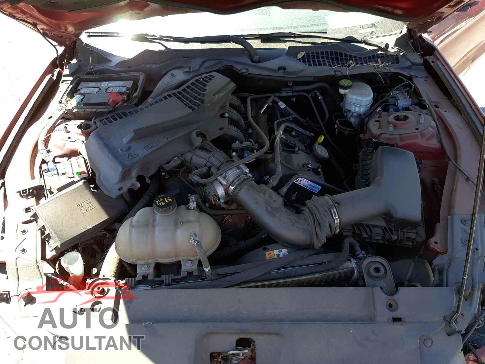 FORD MUSTANG 2016 - 1FA6P8AM2G5303046