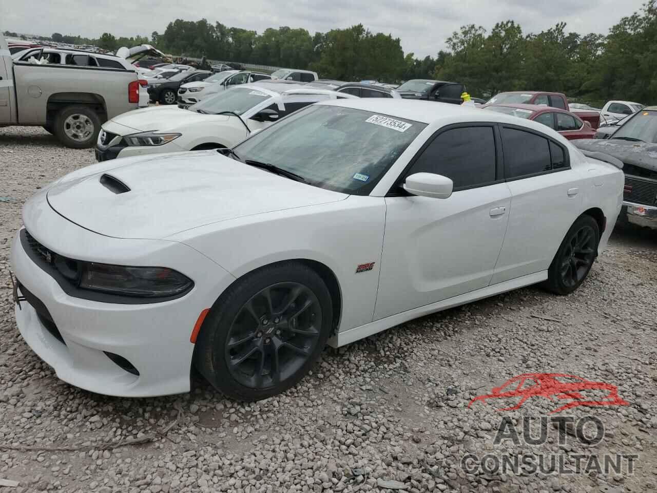 DODGE CHARGER 2020 - 2C3CDXGJ2LH207910