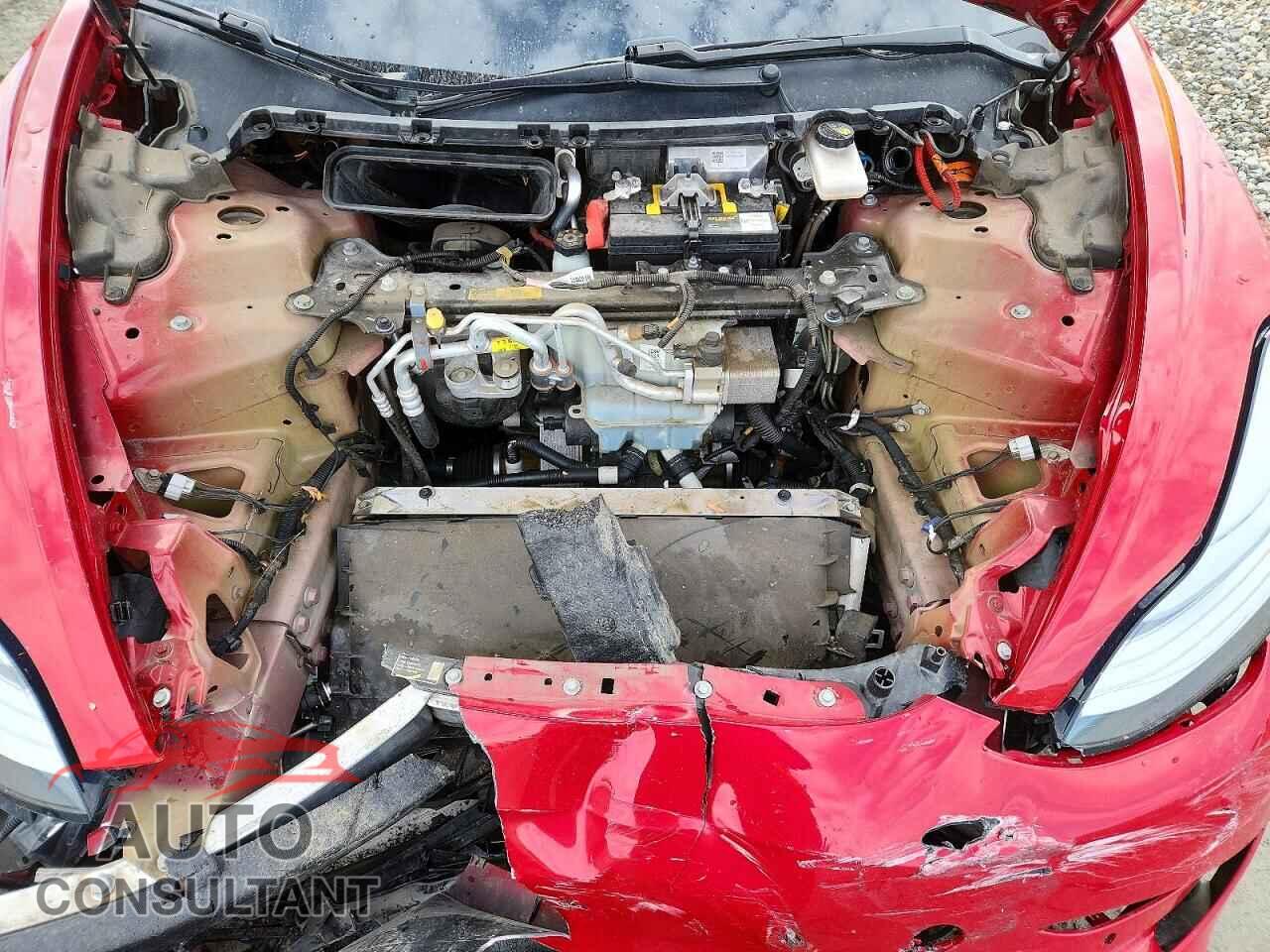TESLA MODEL 3 2019 - 5YJ3E1EB2KF392983