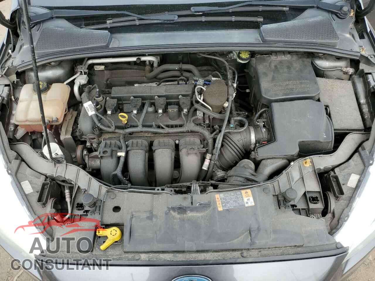 FORD FOCUS 2015 - 1FADP3F20FL267322