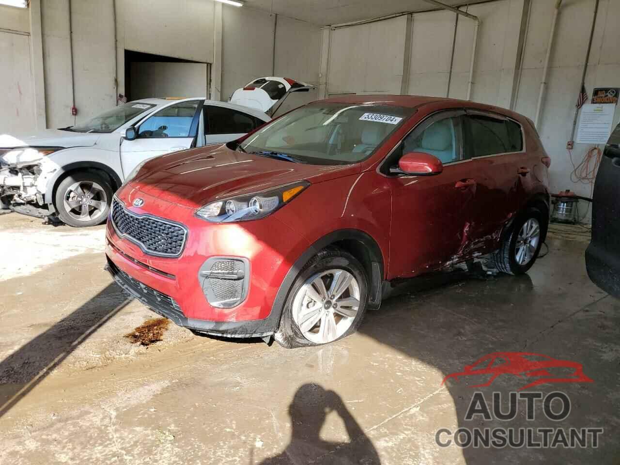 KIA SPORTAGE 2017 - KNDPM3AC3H7117426