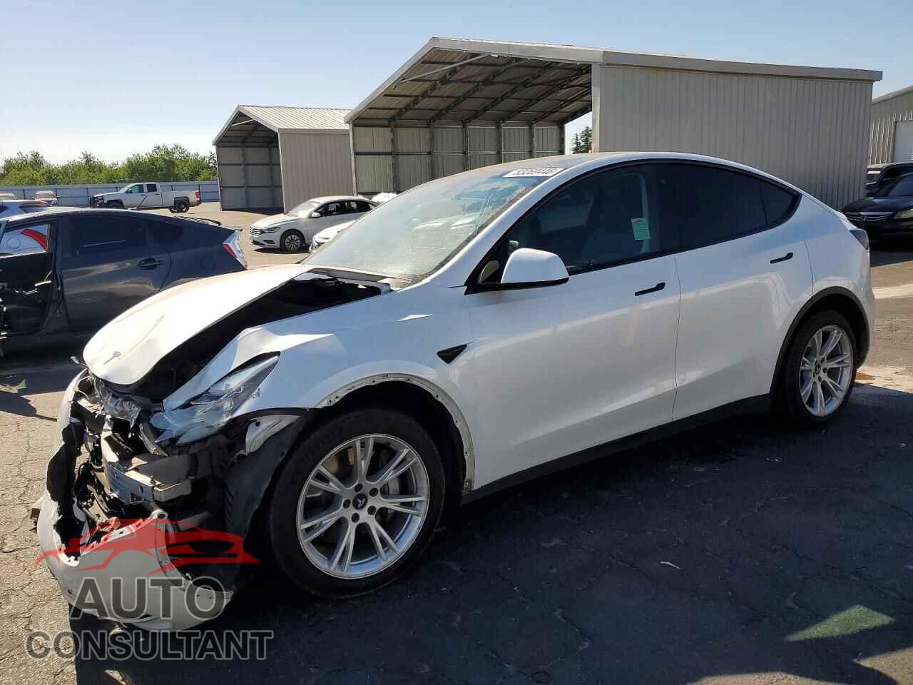 TESLA MODEL Y 2021 - 5YJYGDEE9MF214955