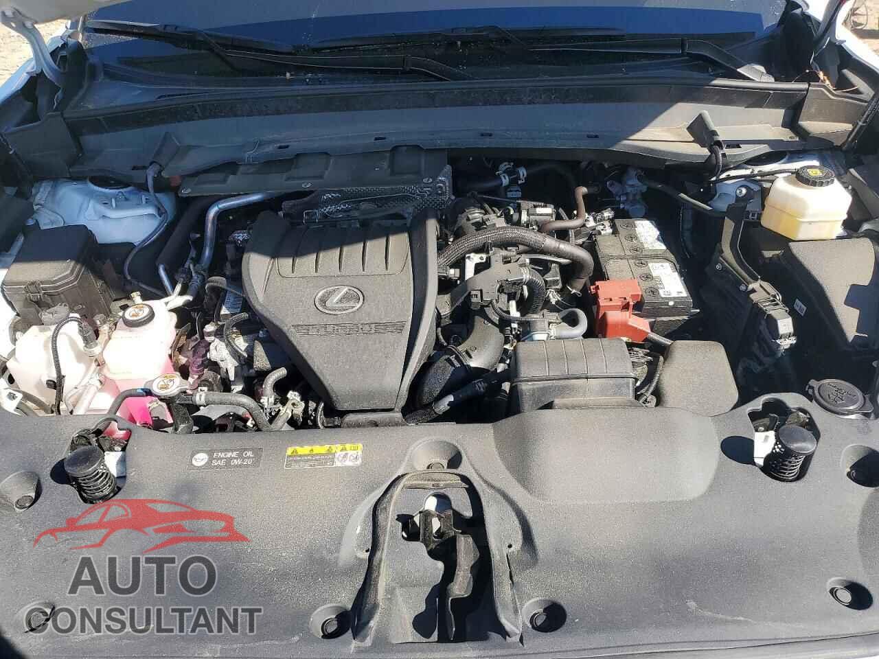 LEXUS UNKNOWN 2025 - 5TDAAAB66SS032931
