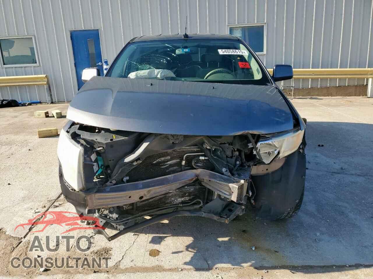 FORD EDGE 2009 - 2FMDK38C59BA88255