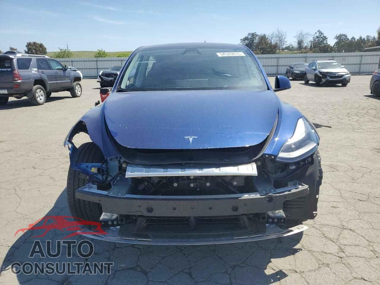 TESLA MODEL Y 2024 - 7SAYGAEE3RF034699