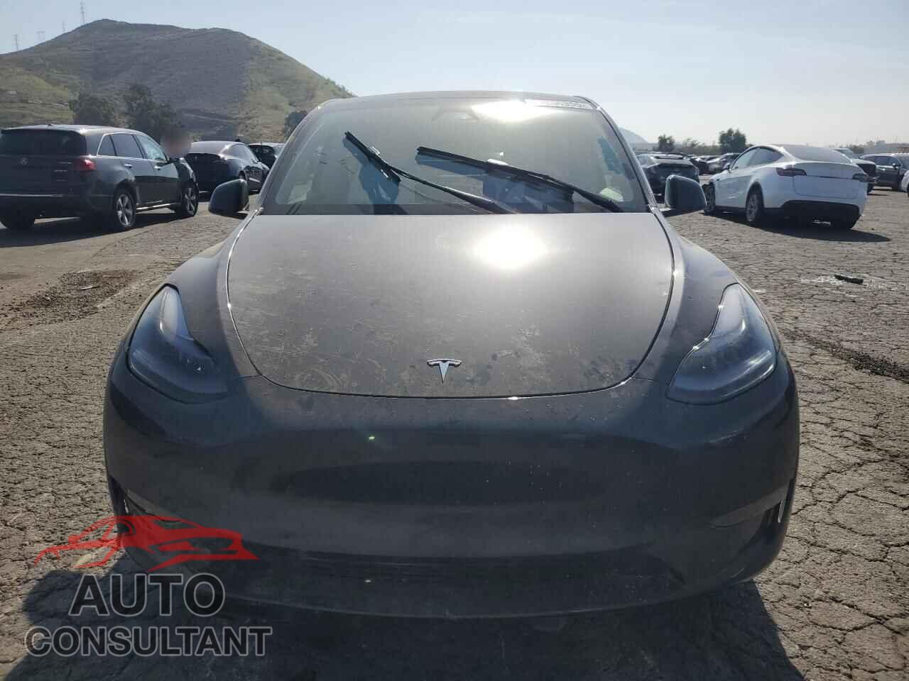 TESLA MODEL Y 2024 - 7SAYGDEF0RF162022