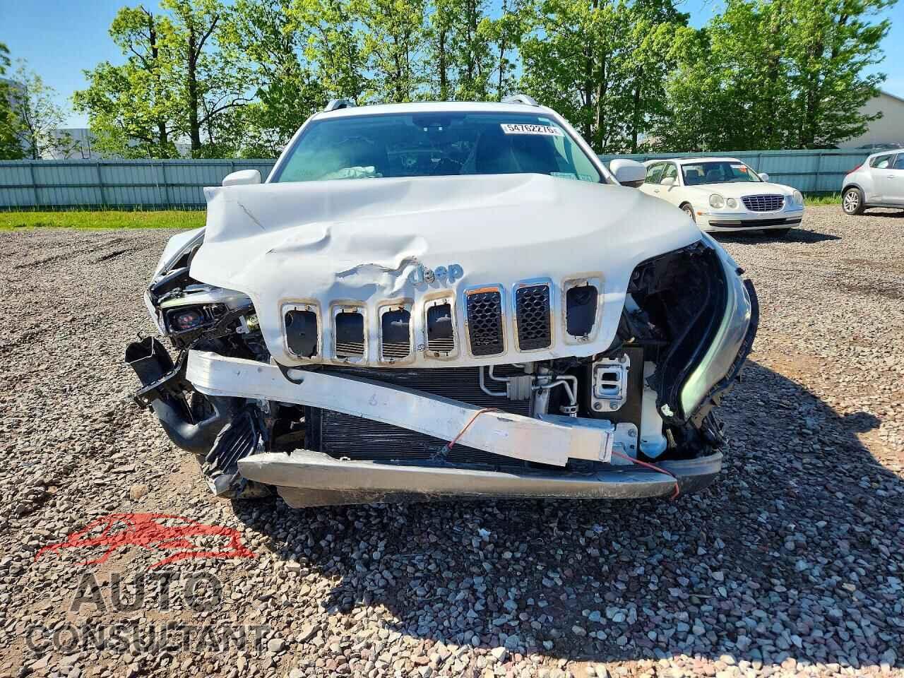 JEEP CHEROKEE 2019 - 1C4PJMDX7KD306540