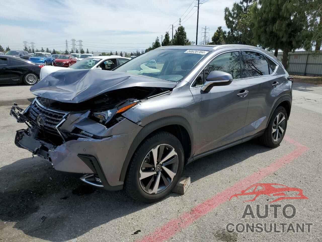 LEXUS NX 2020 - JTJGARBZXL2171310