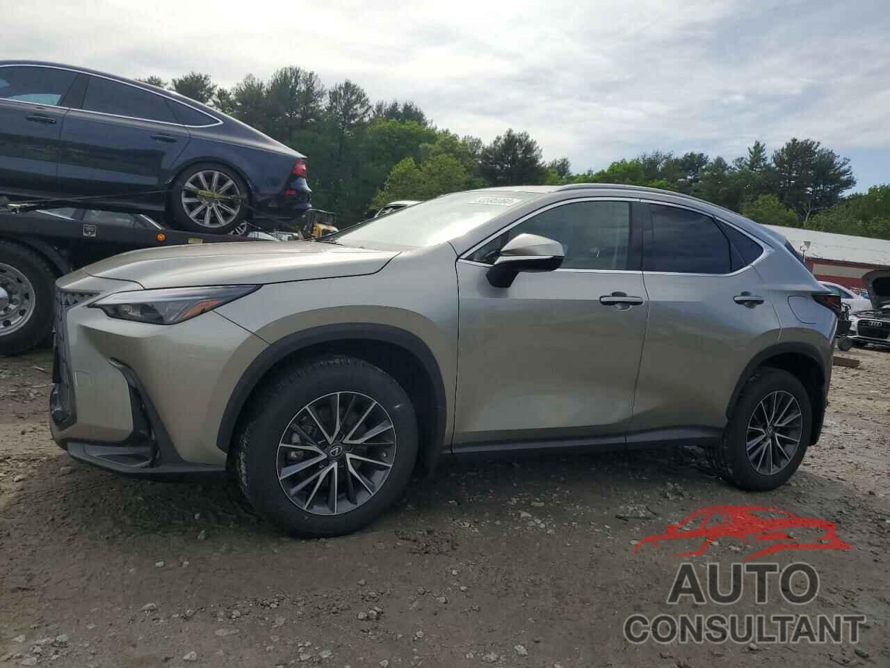 LEXUS NX 350 2023 - 2T2AGCEZ4PC031160