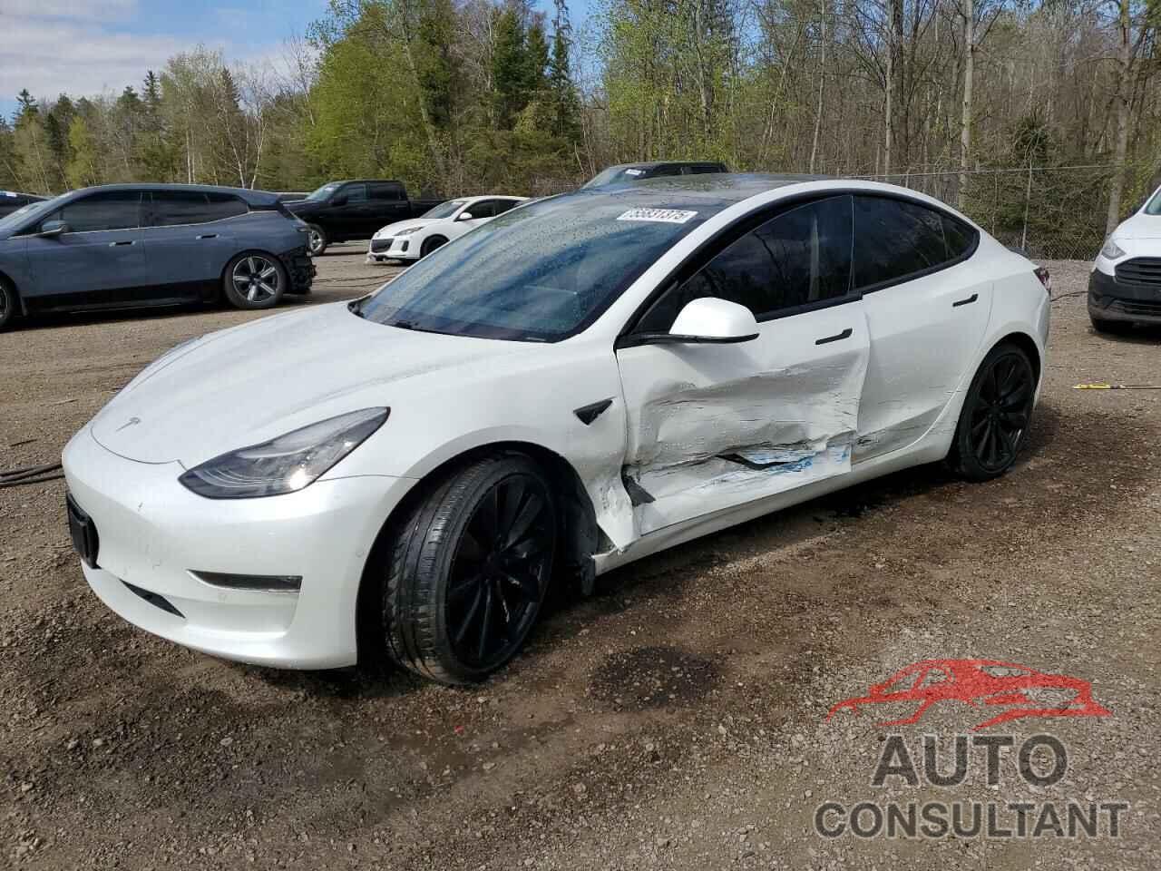TESLA MODEL 3 2021 - 5YJ3E1EA3MF848645