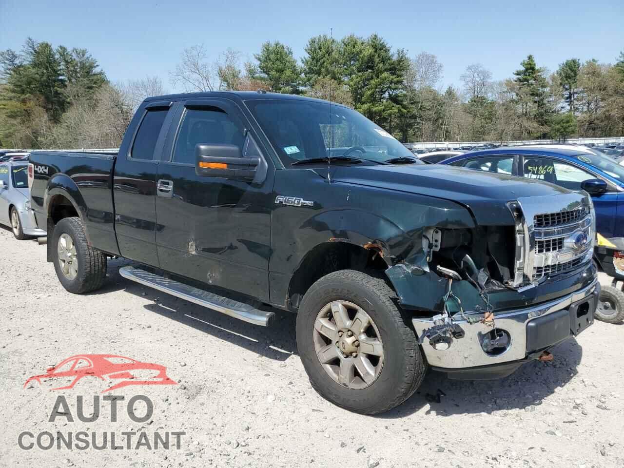 FORD F-150 2014 - 1FTFX1EFXEFA34847
