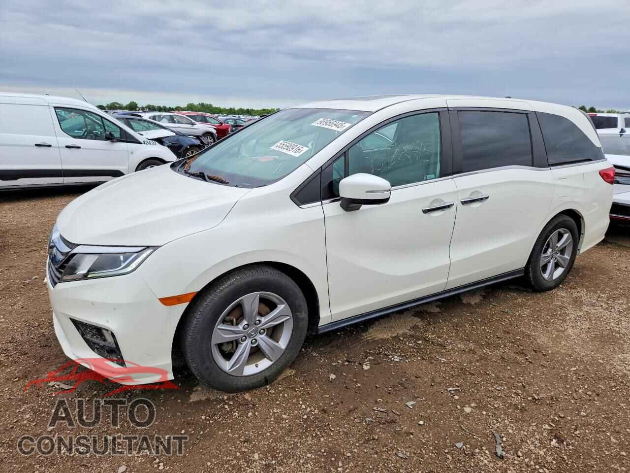 HONDA ODYSSEY 2019 - 5FNRL6H76KB072599