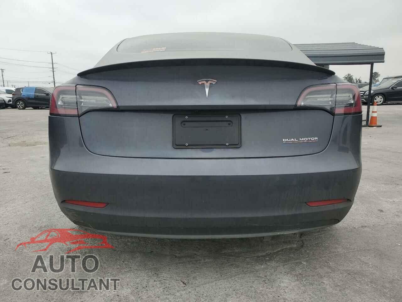 TESLA MODEL 3 2019 - 5YJ3E1EB2KF528769