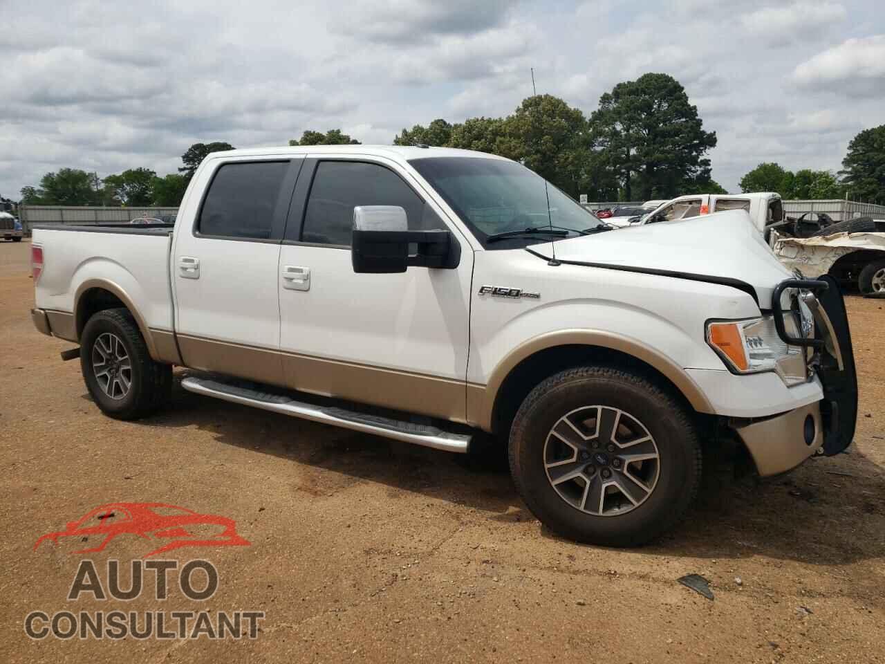FORD F-150 2011 - 1FTFW1C69BFA72765