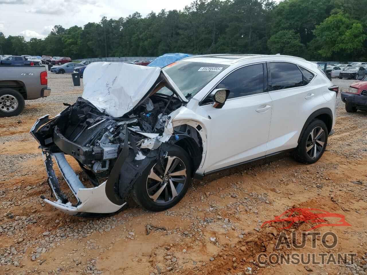 LEXUS NX 2019 - JTJYARBZ9K2150855