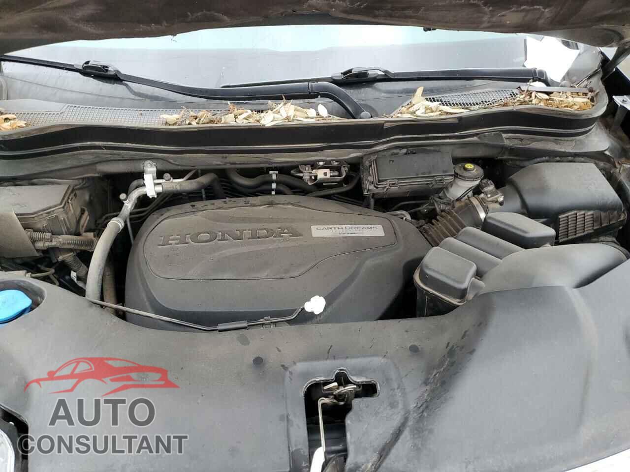 HONDA RIDGELINE 2019 - 5FPYK3F78KB009253