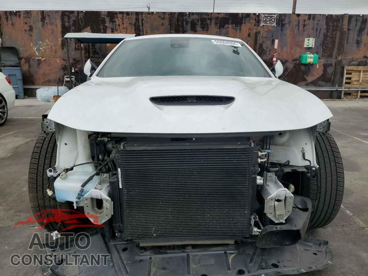 DODGE CHARGER 2019 - 2C3CDXGJ9KH521052