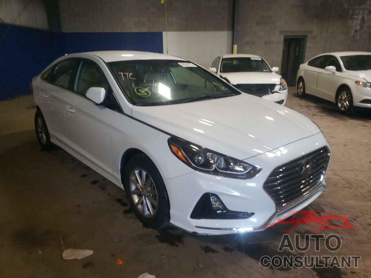 HYUNDAI SONATA 2019 - 5NPE24AF0KH817081
