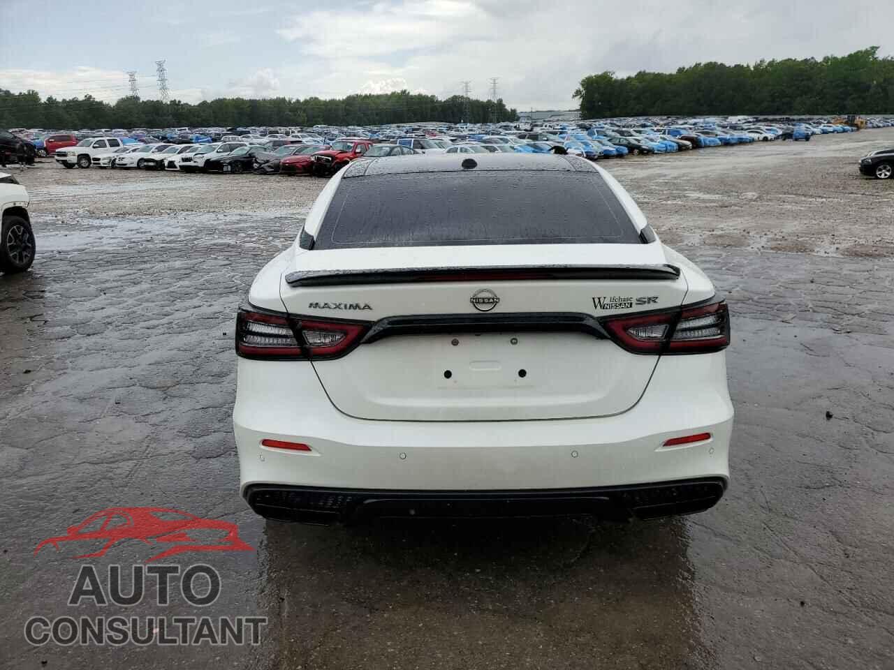 NISSAN MAXIMA 2023 - 1N4AA6EV8PC506926