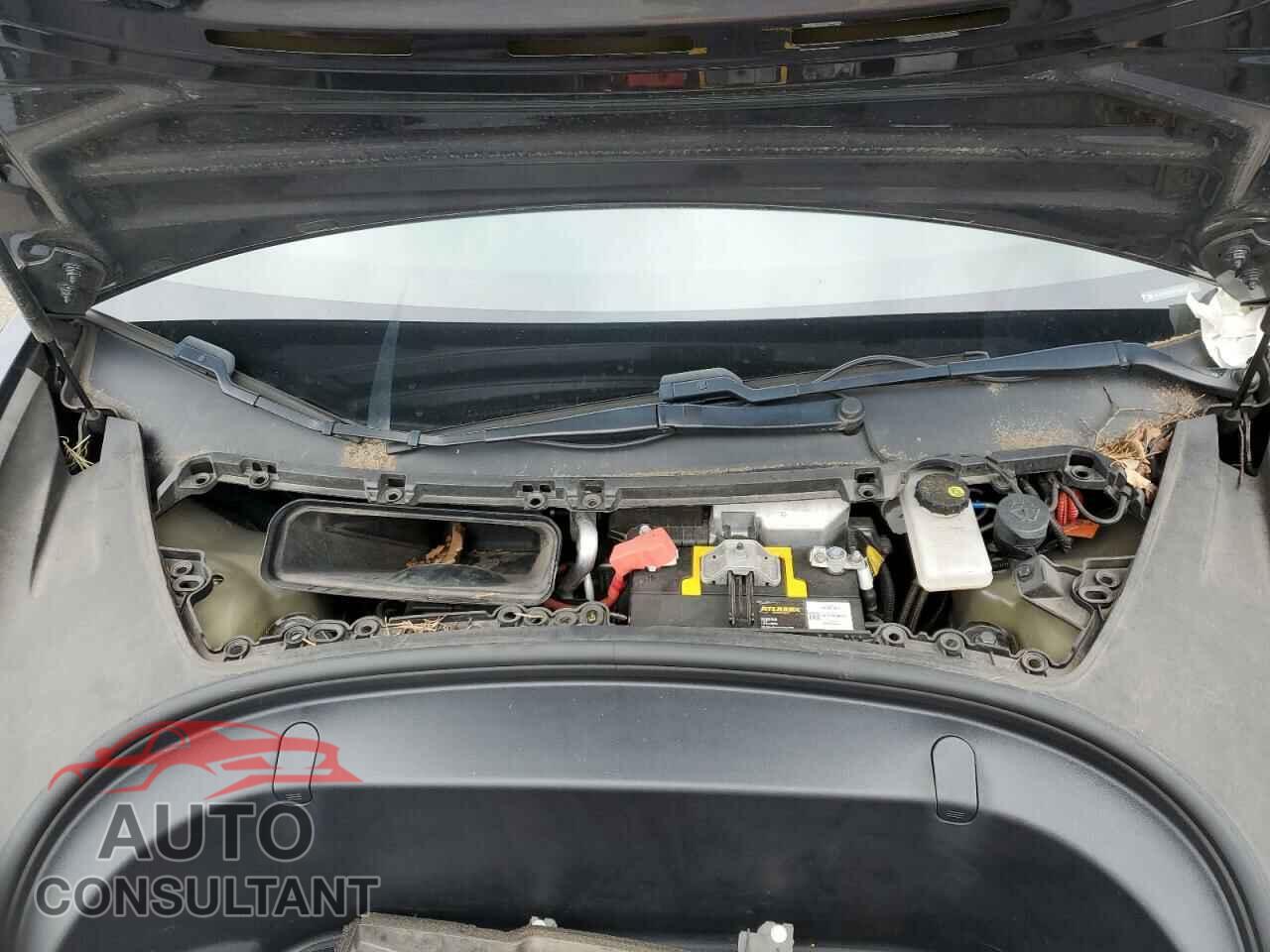 TESLA MODEL 3 2019 - 5YJ3E1EB0KF361411