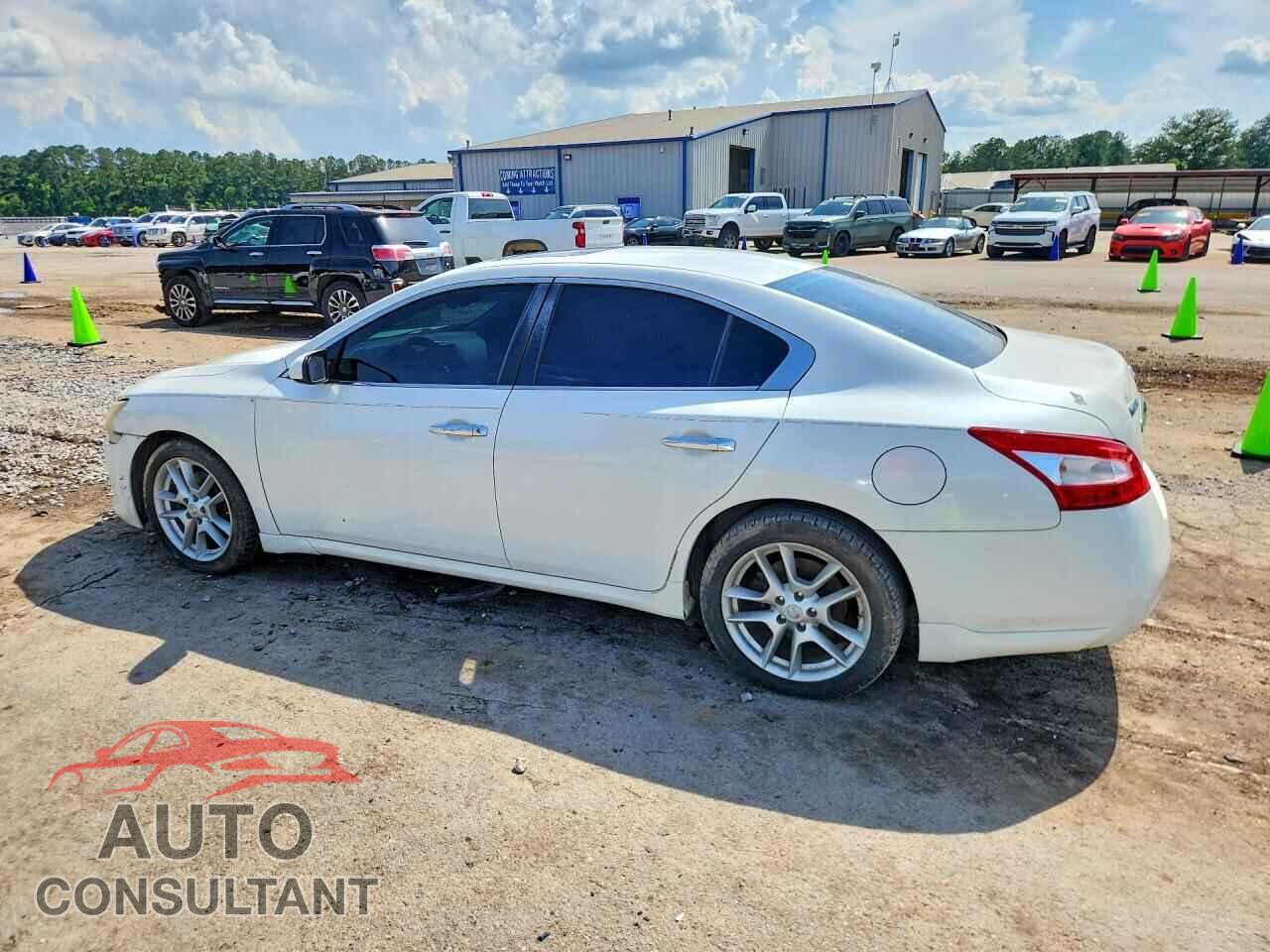 NISSAN MAXIMA 2009 - 1N4AA51E29C841215