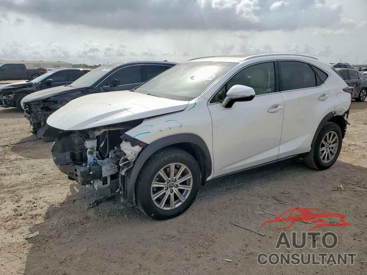 LEXUS NX 2019 - JTJYARBZXK2156437