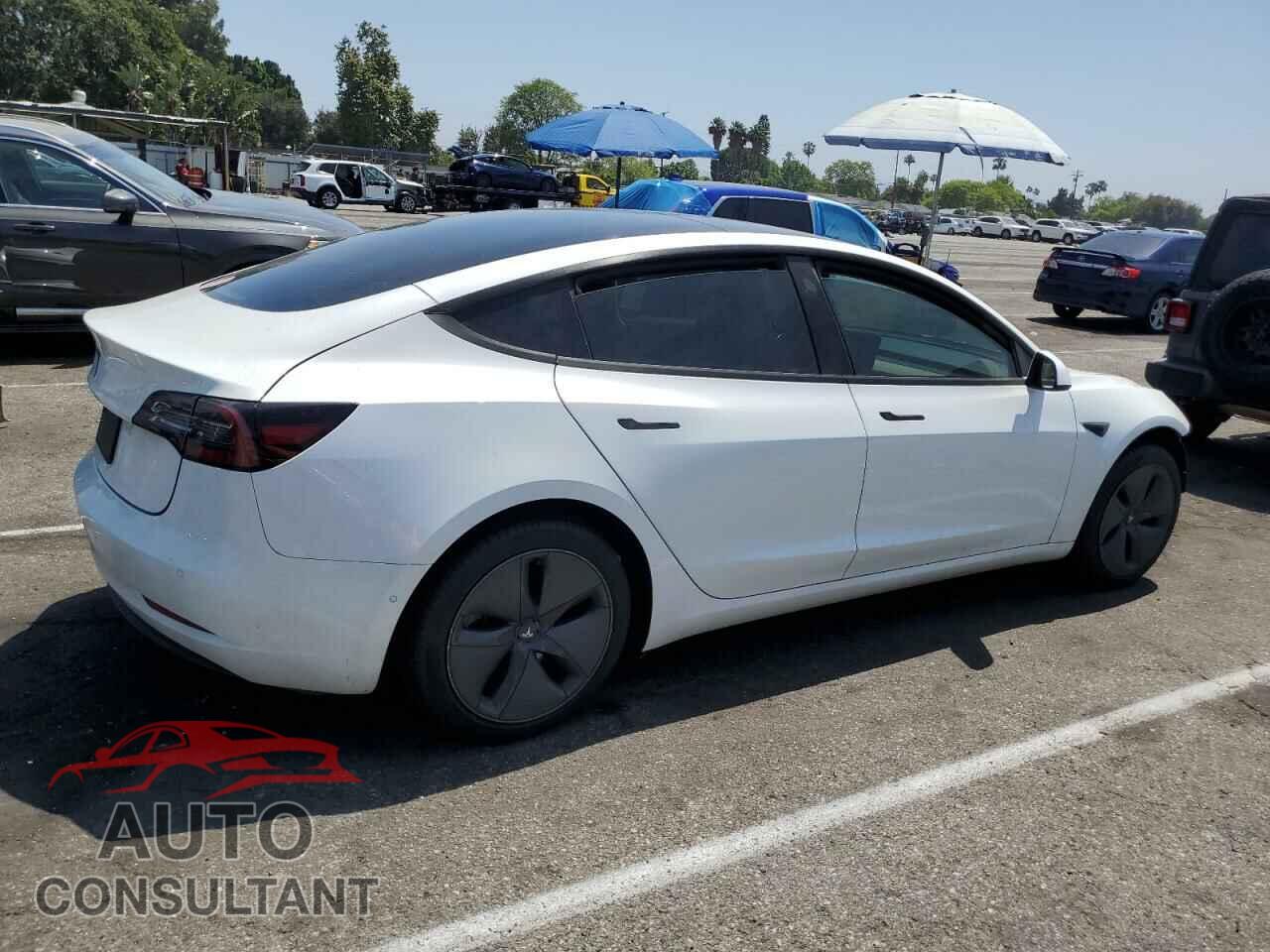 TESLA MODEL 3 2019 - 5YJ3E1EA3KF485003