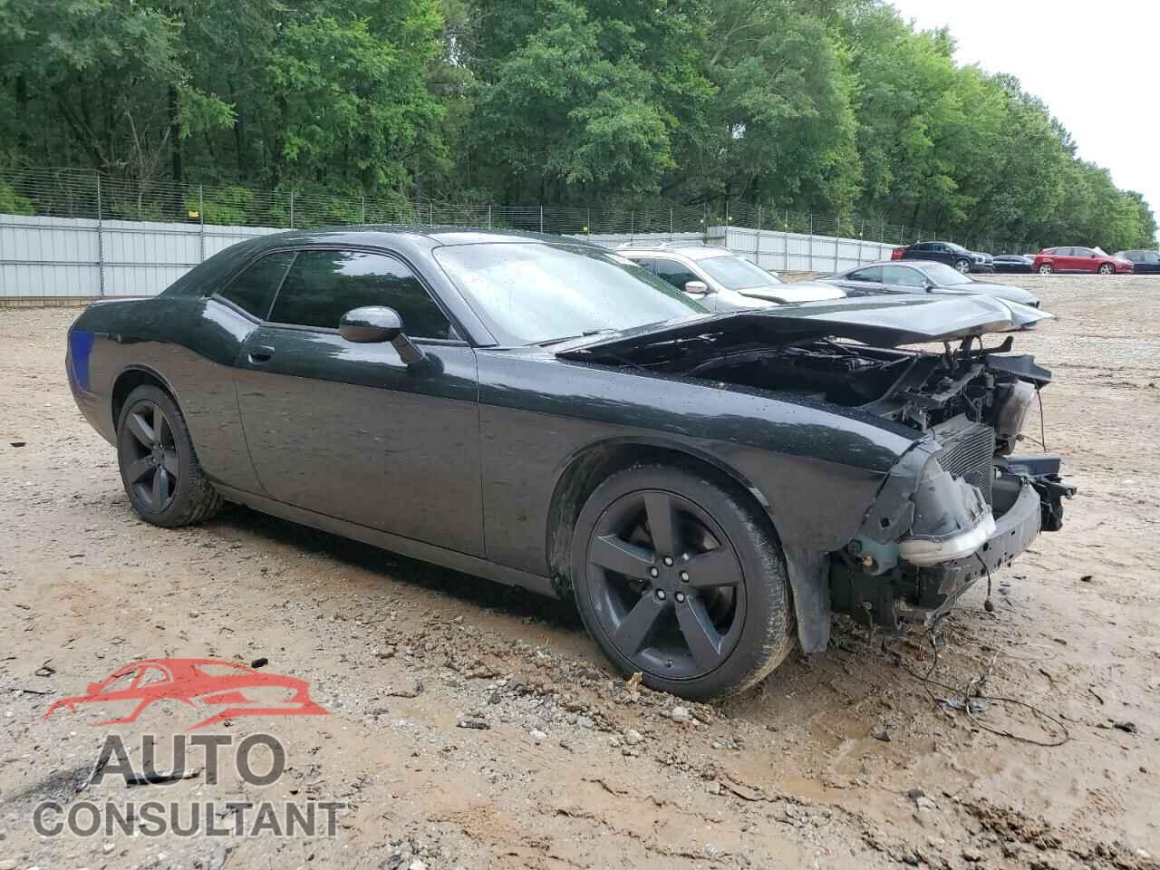 DODGE CHALLENGER 2014 - 2C3CDYAG4EH196530