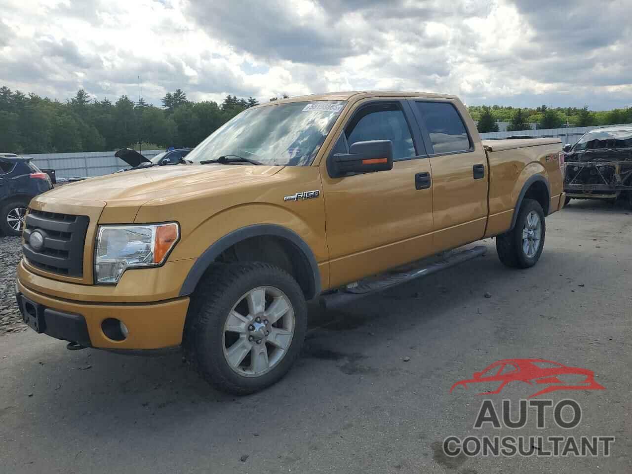 FORD F-150 2009 - 1FTPW14V29KC60863