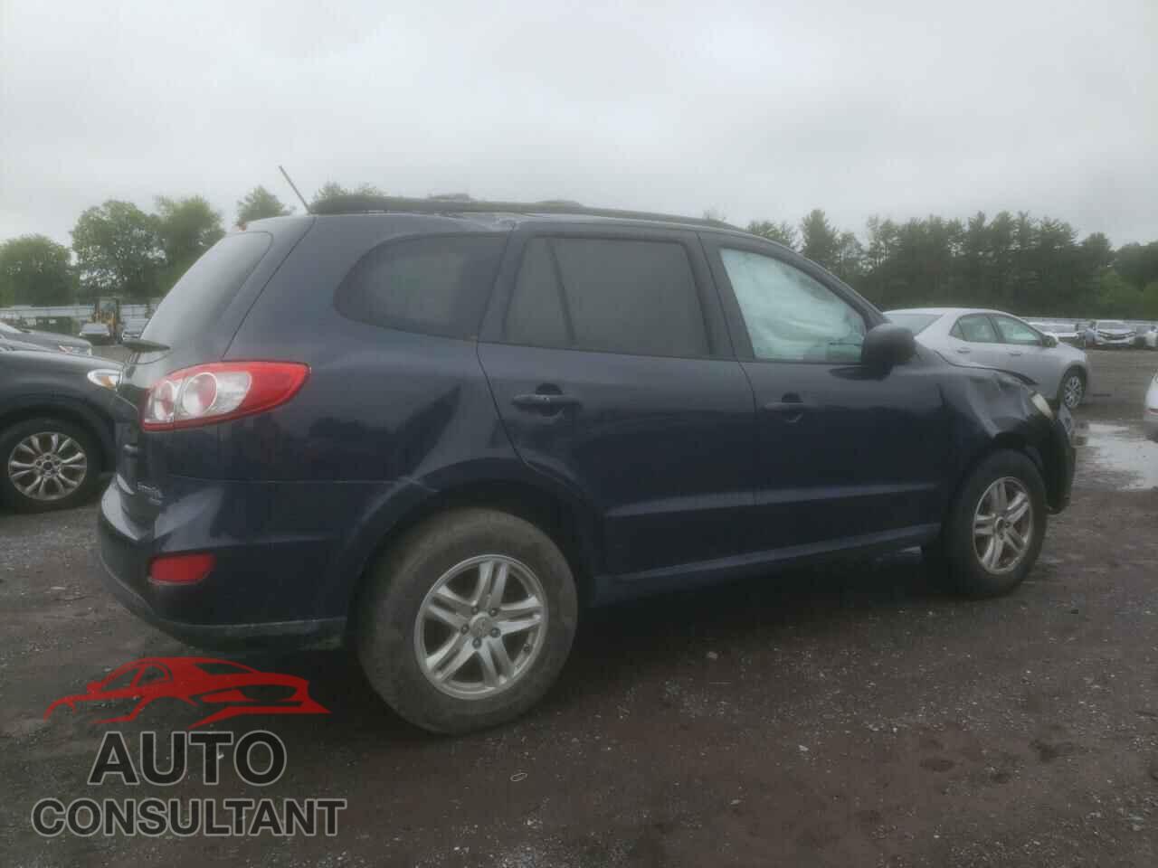 HYUNDAI SANTA FE 2010 - 5NMSGDAB0AH411332