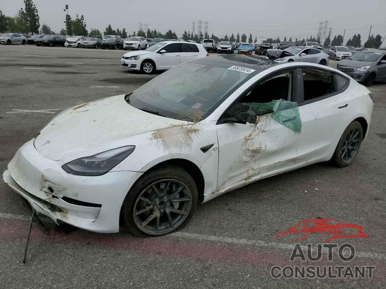 TESLA MODEL 3 2023 - 5YJ3E1EA2PF583513