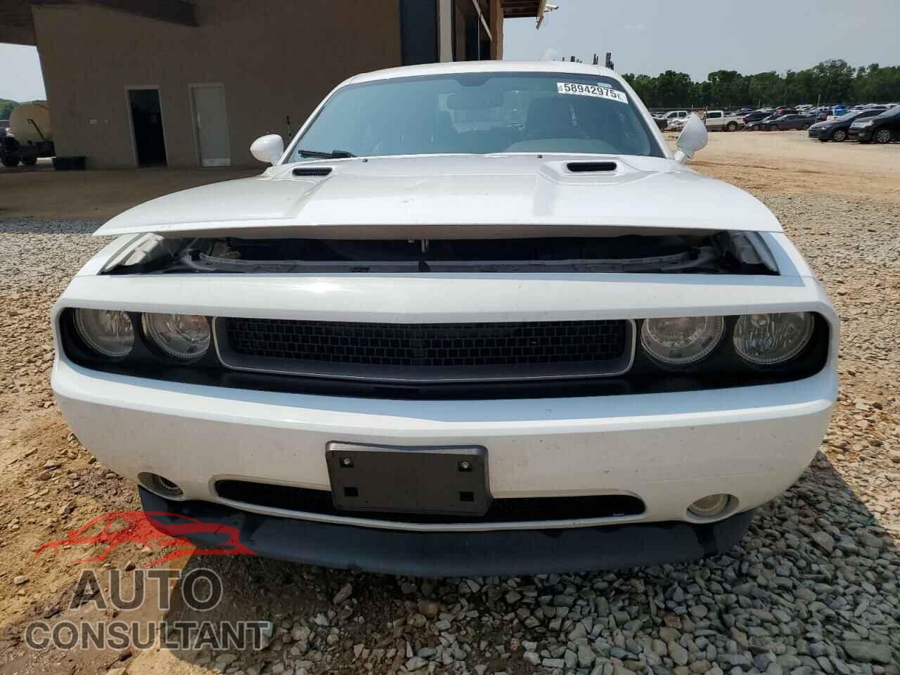 DODGE CHALLENGER 2013 - 2C3CDYAG4DH616222
