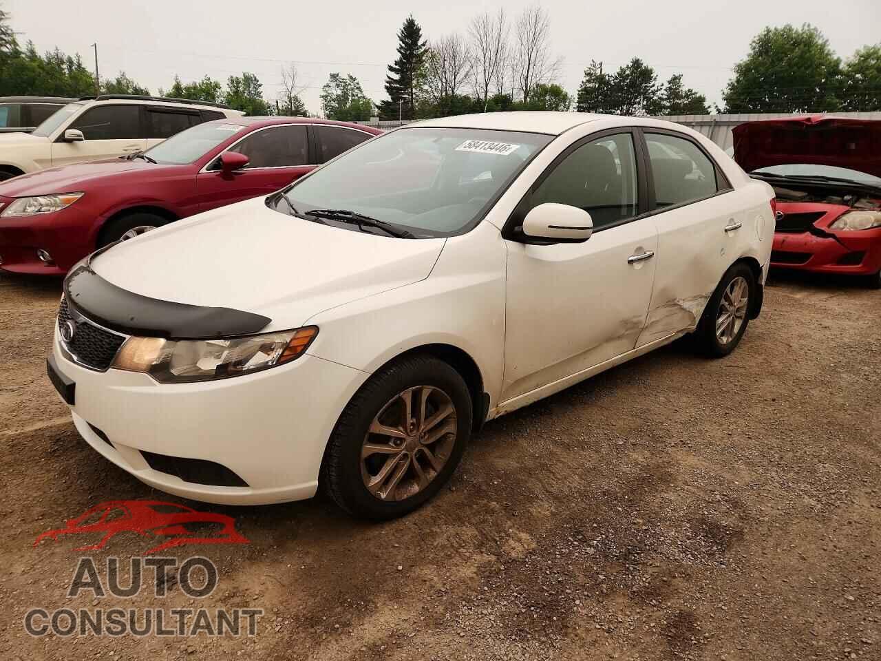 KIA FORTE 2011 - KNAFU4A23B5320776