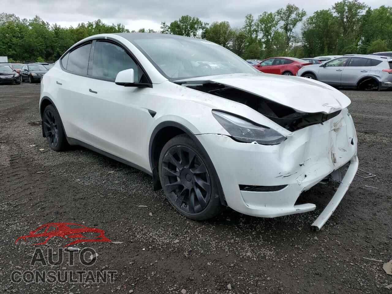 TESLA MODEL Y 2023 - 7SAYGAEE0PF755883