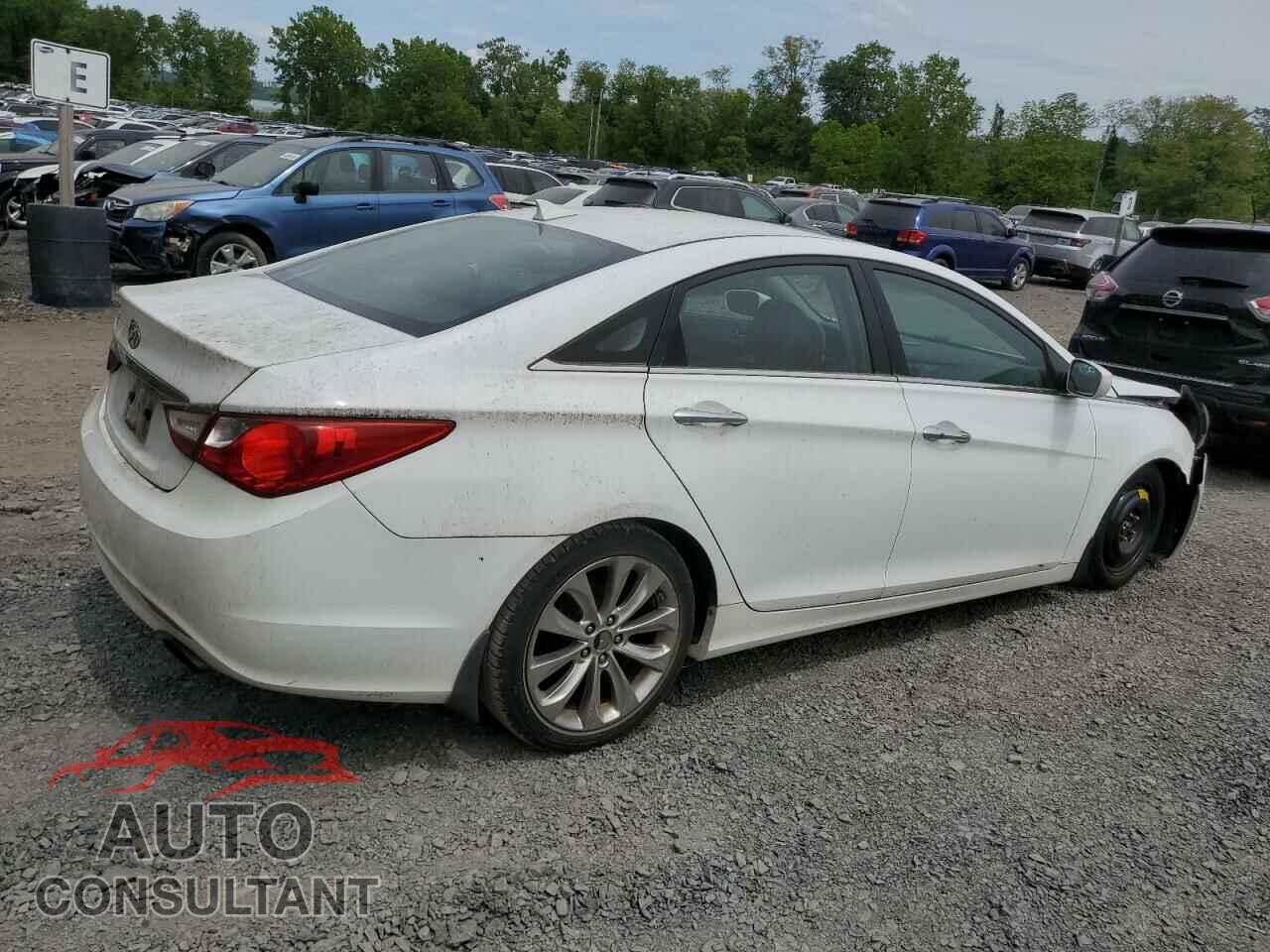 HYUNDAI SONATA 2013 - 5NPEC4AC4DH644221