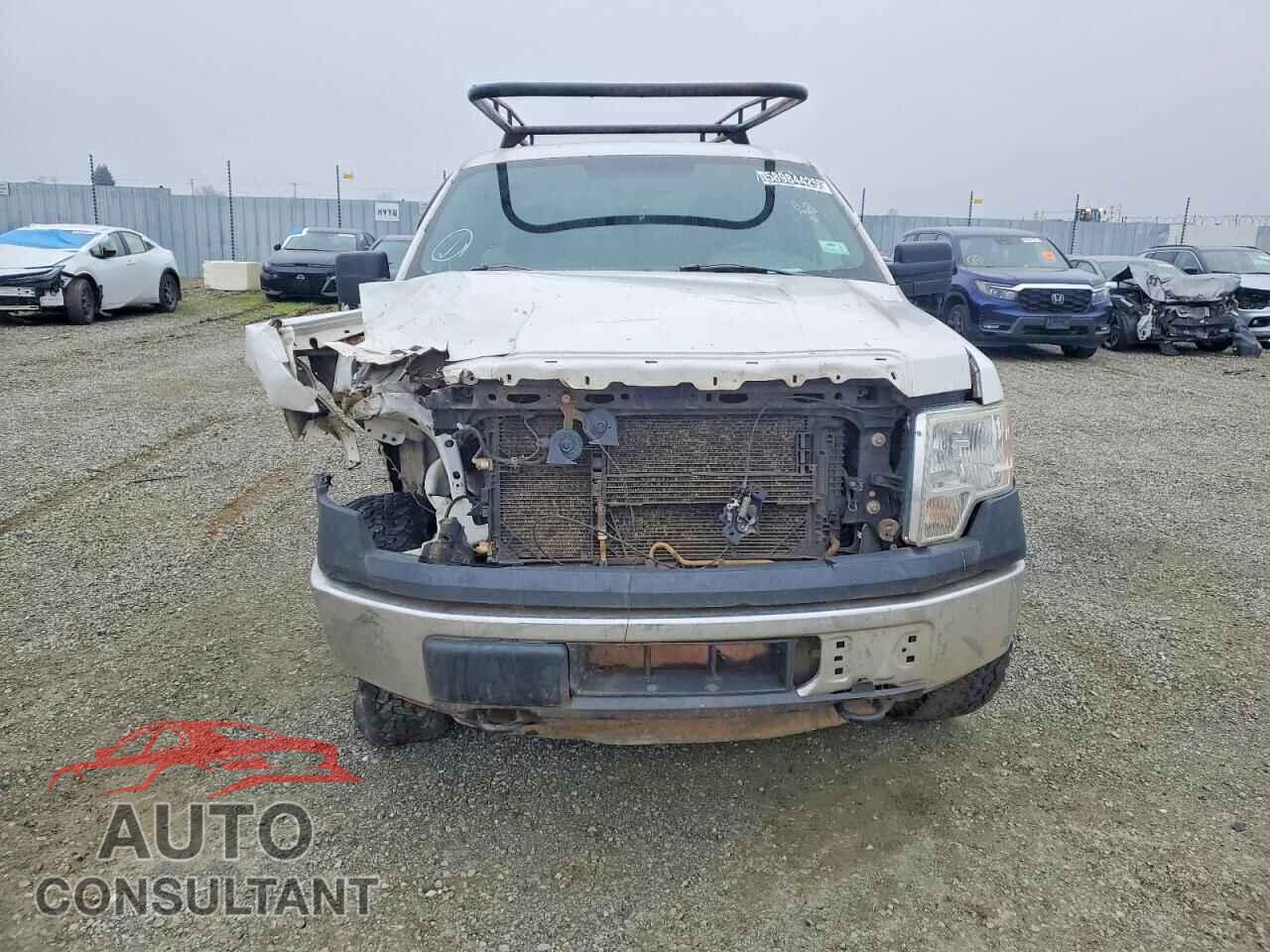 FORD F150 2014 - 1FTFX1EF4EFB40954
