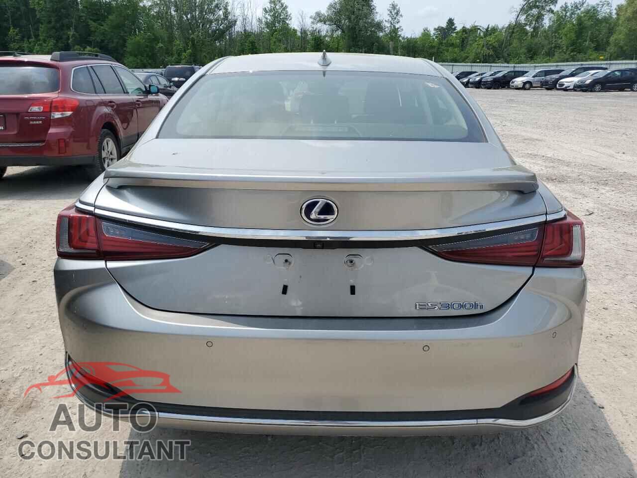 LEXUS ES300 2019 - JTHB21B19K2022972