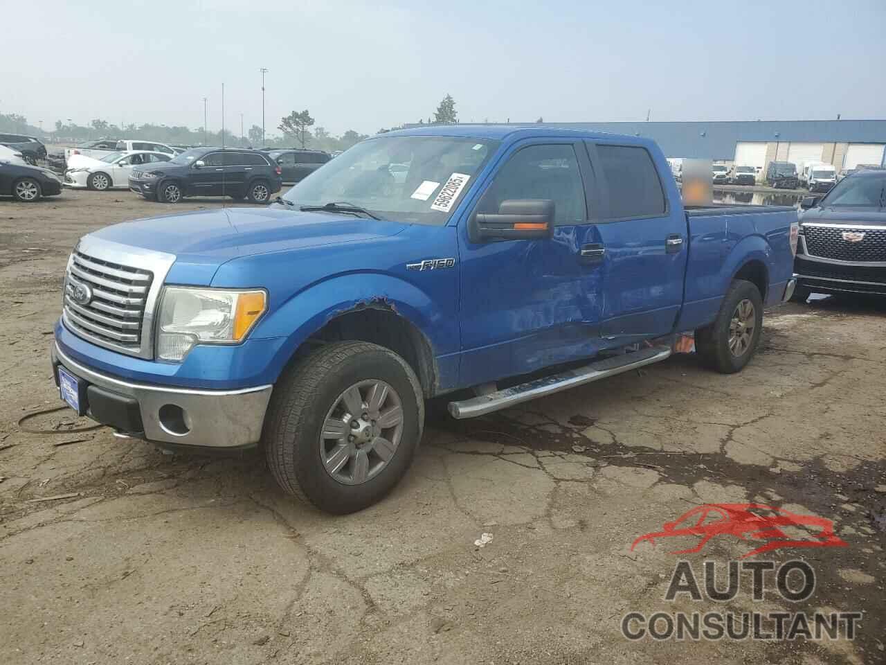 FORD F-150 2010 - 1FTFW1EV3AFD14355