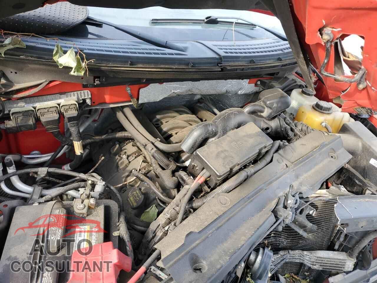 FORD F-150 2013 - 1FTFX1EF8DFD77753