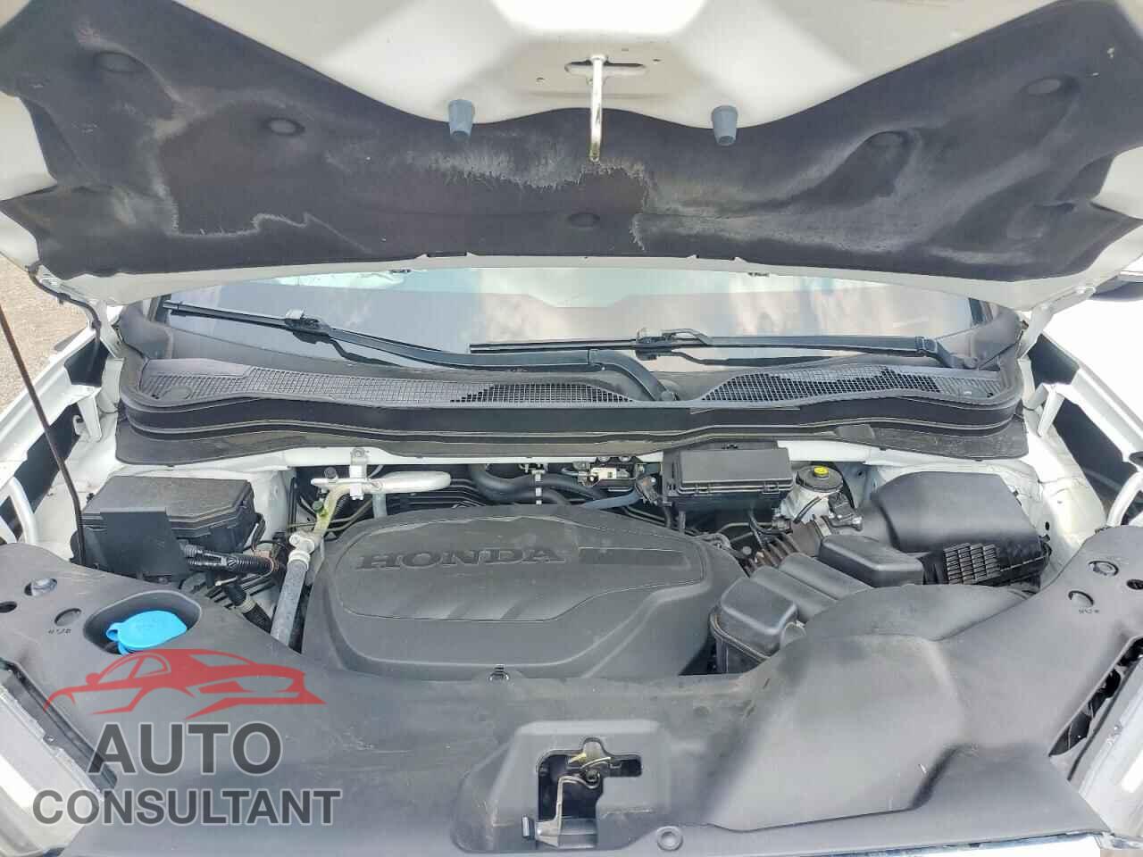 HONDA RIDGELINE 2021 - 5FPYK3F79MB017767