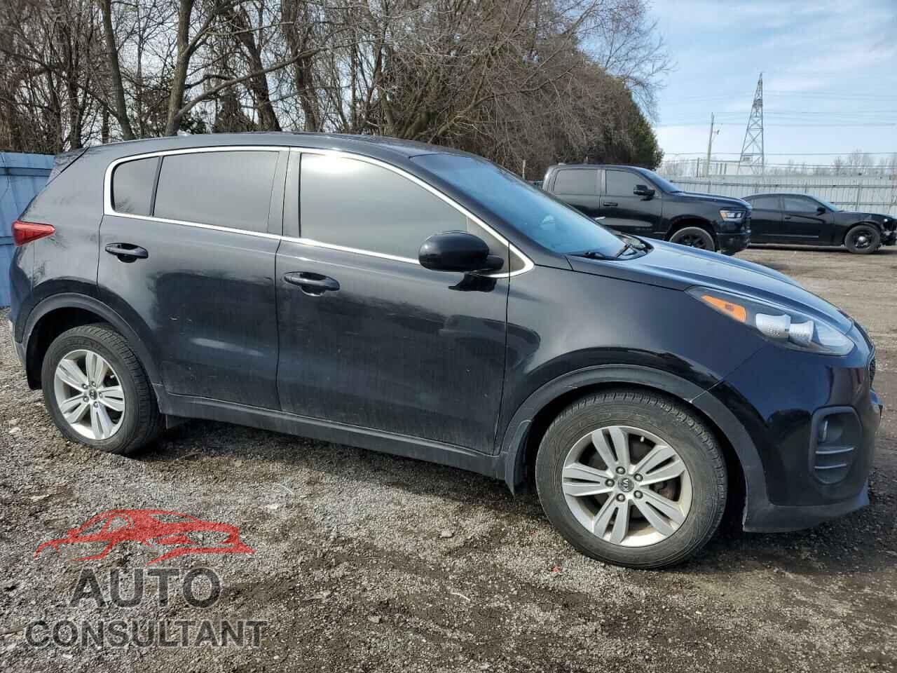 KIA SPORTAGE 2017 - KNDPM3AC1H7149100