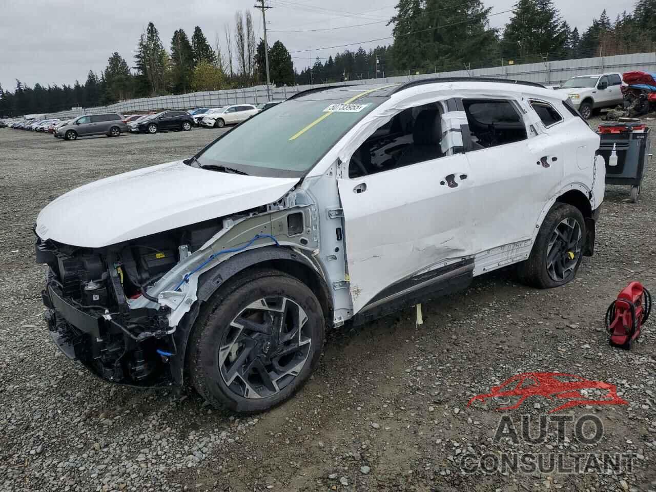 KIA SPORTAGE 2024 - 5XYK5CDF4RG226771