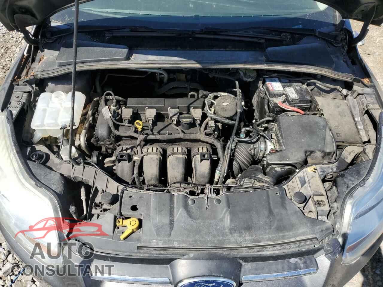 FORD FOCUS 2012 - 1FAHP3F26CL300210