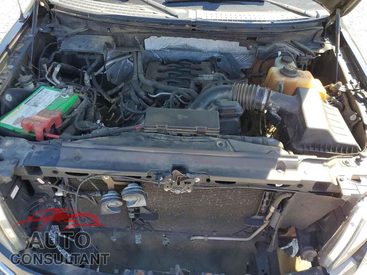 FORD F150 2011 - 1FTFX1EF7BFA82754