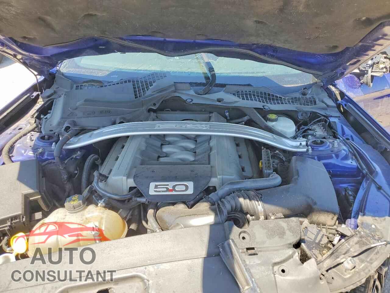 FORD MUSTANG 2015 - 1FA6P8CF2F5433695